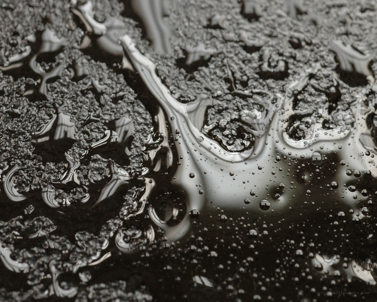 Water droplets on dark surface