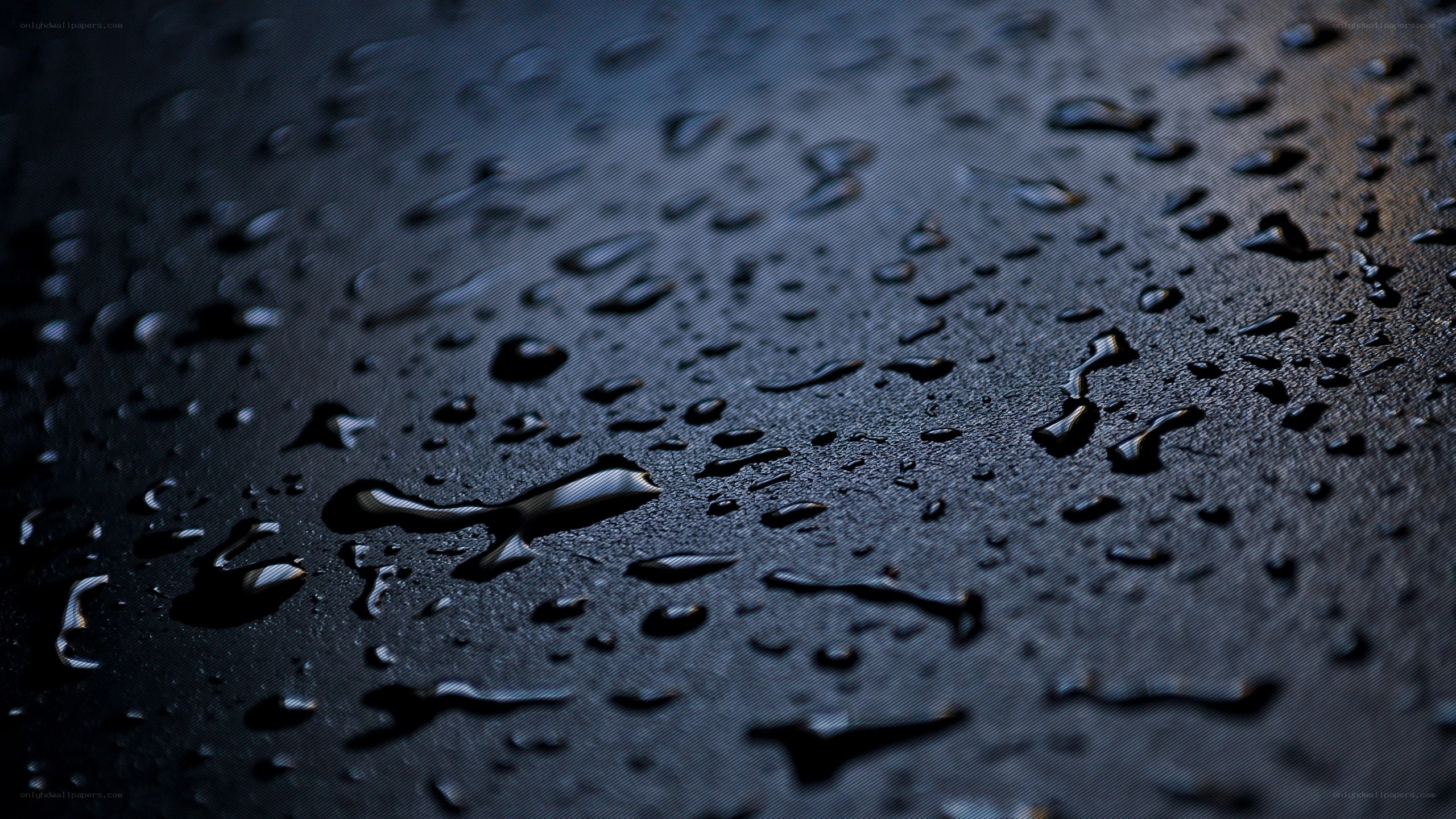 Water droplets on dark surface