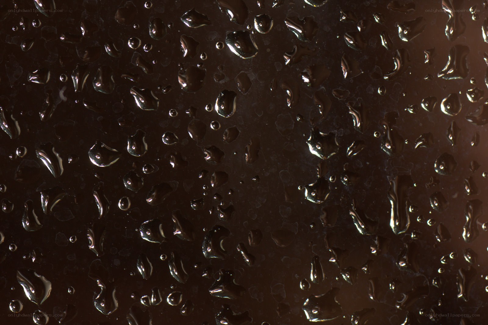 Water droplets on dark surface