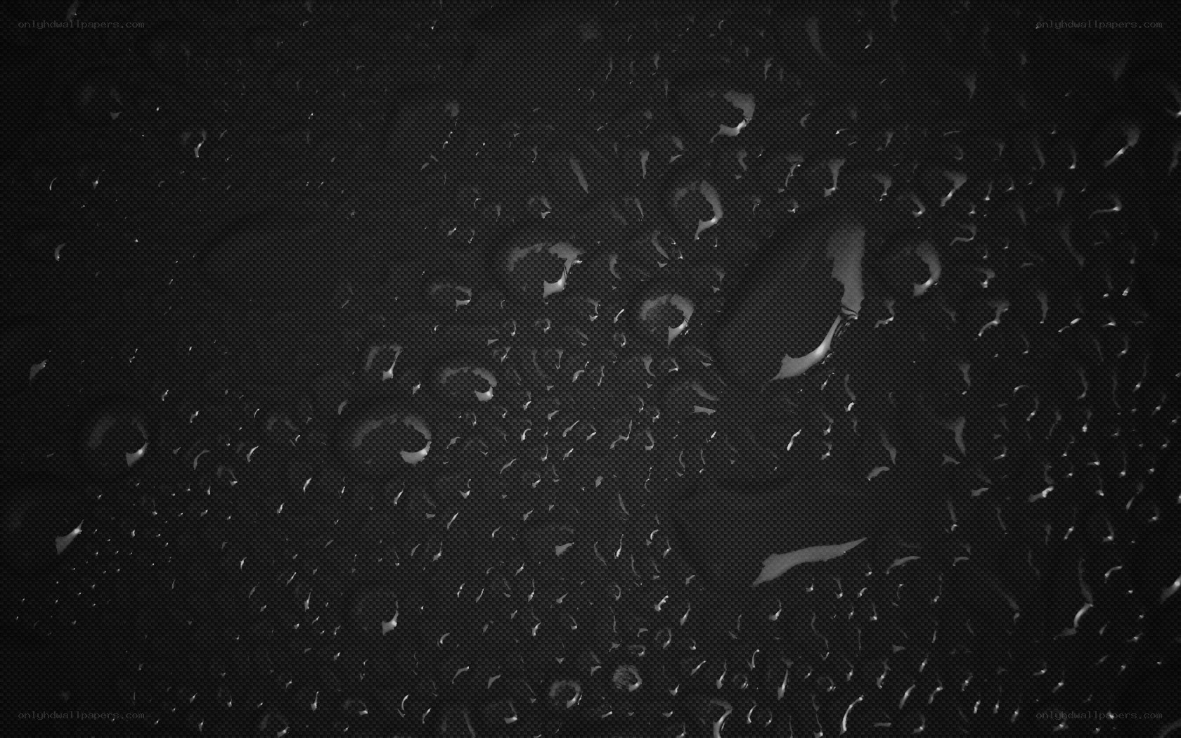 Water droplets on dark surface