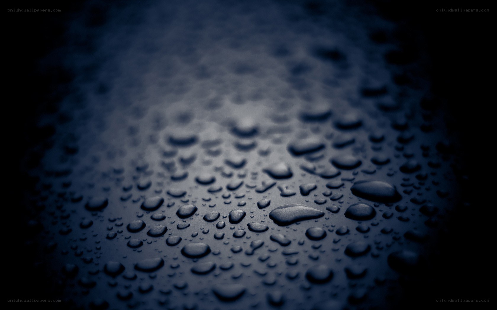 Water droplets on dark surface