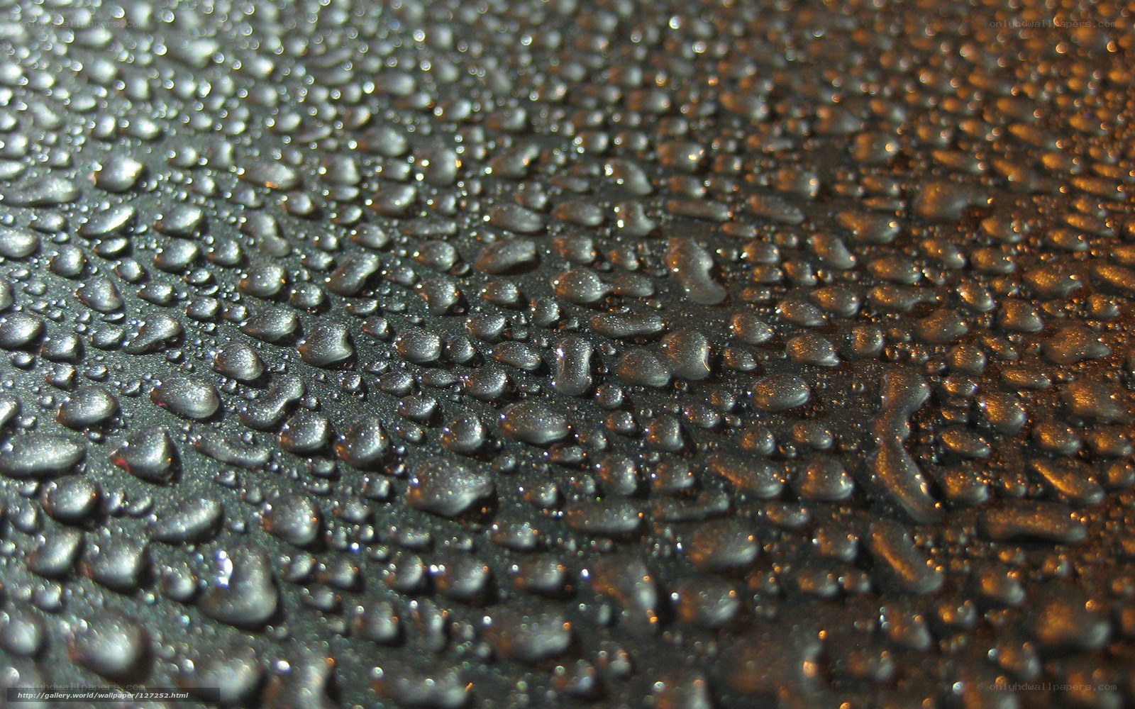 Water droplets on dark surface