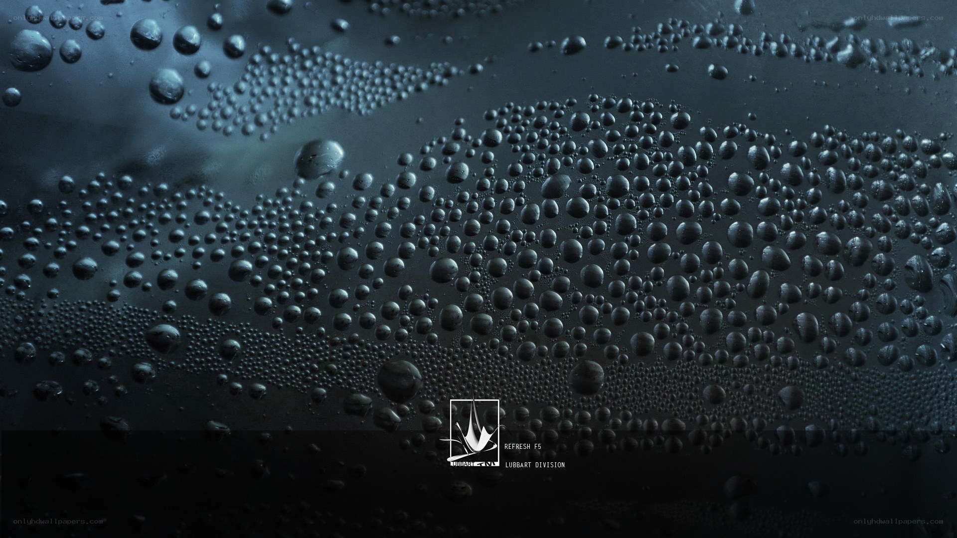 Water droplets on dark surface