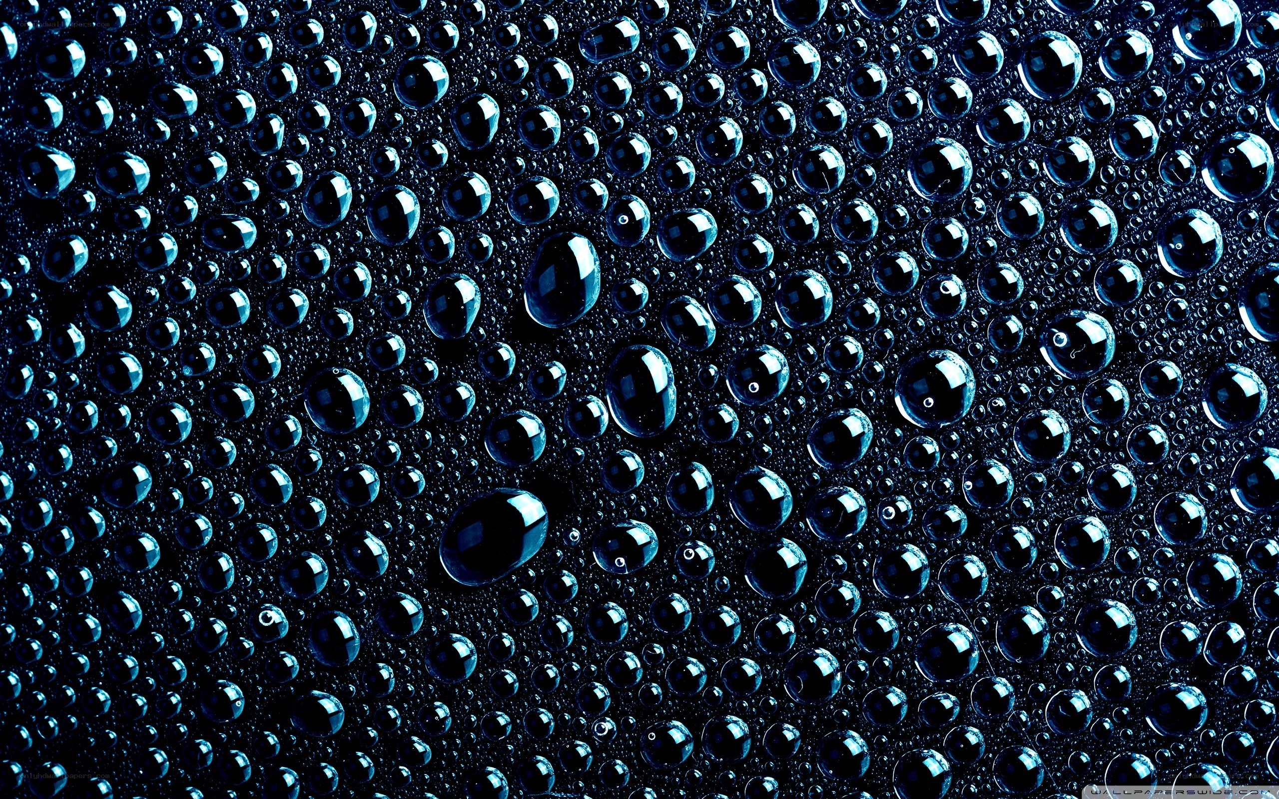 Water droplets on dark surface