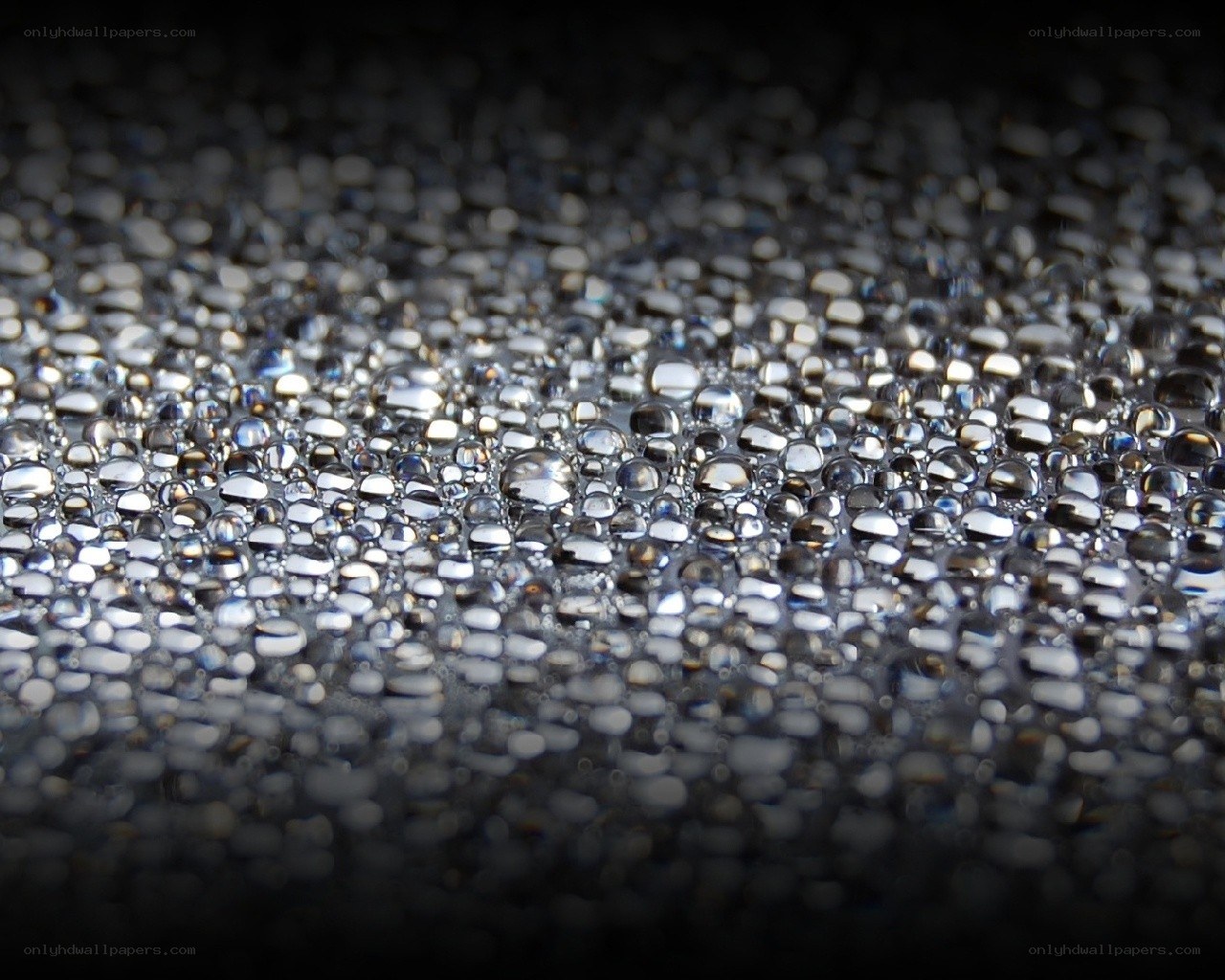 Water droplets on dark surface