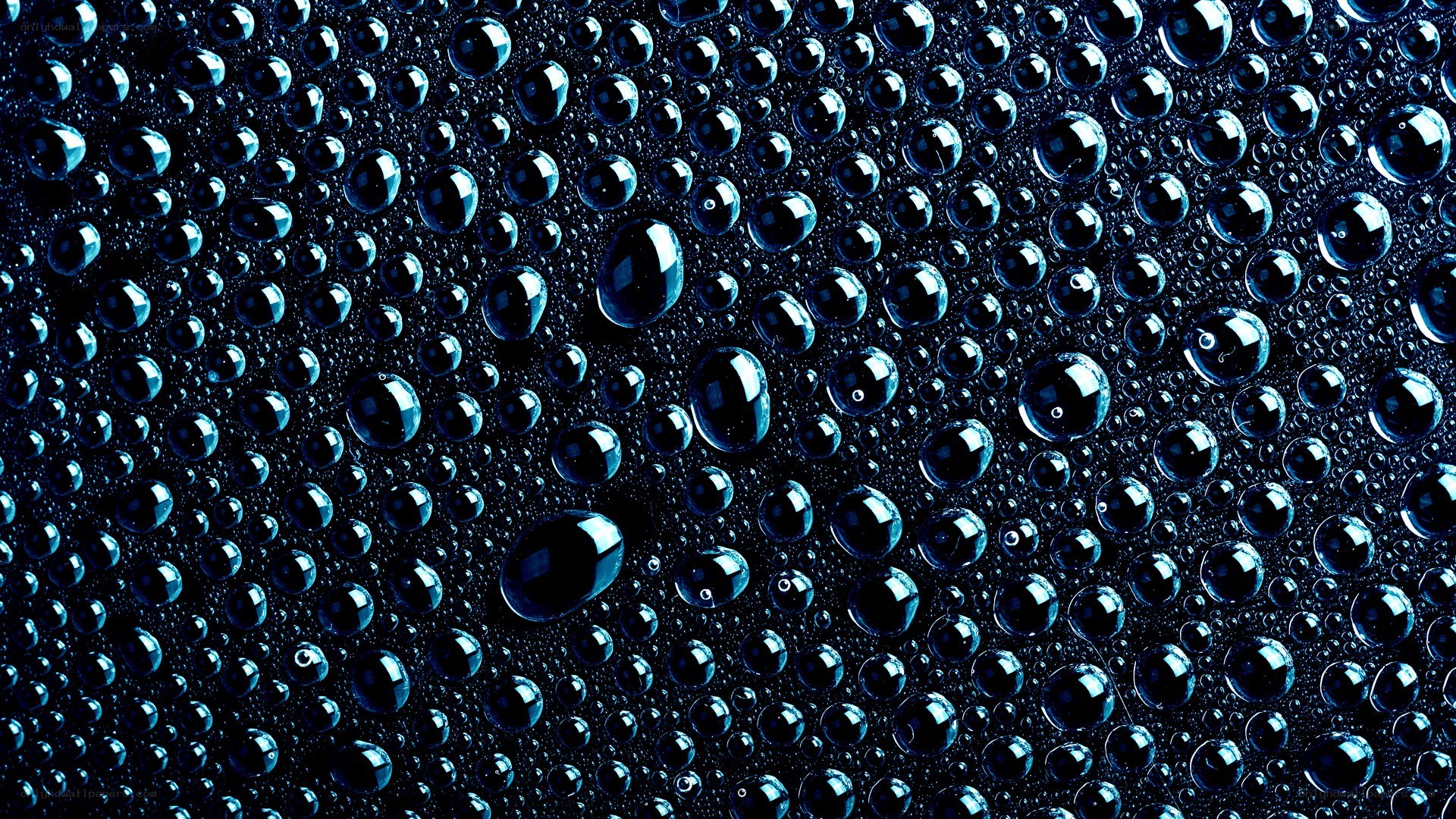 Water droplets on dark surface