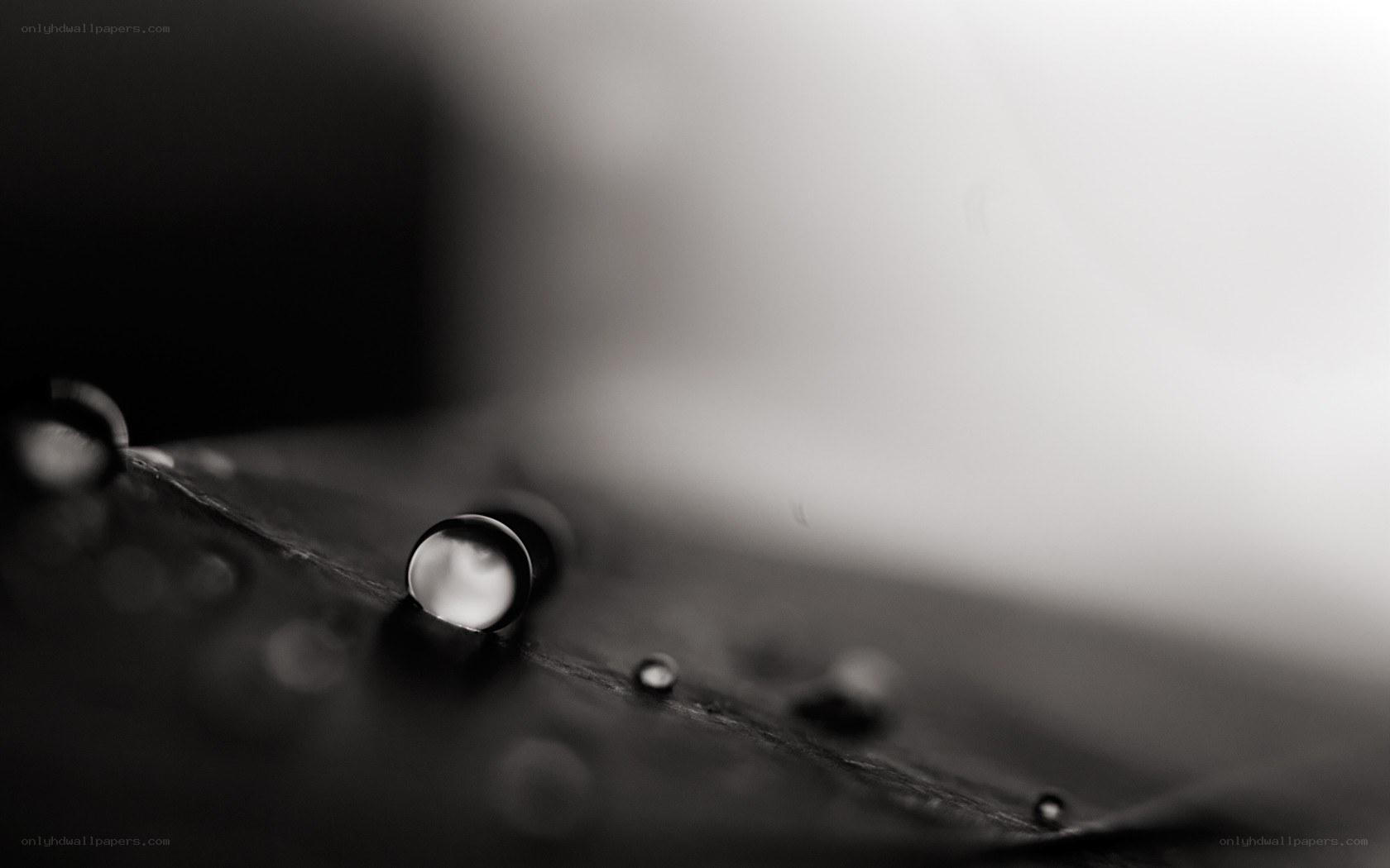 Water droplets on dark surface