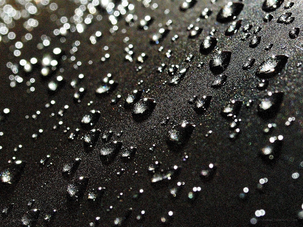 Water droplets on dark surface