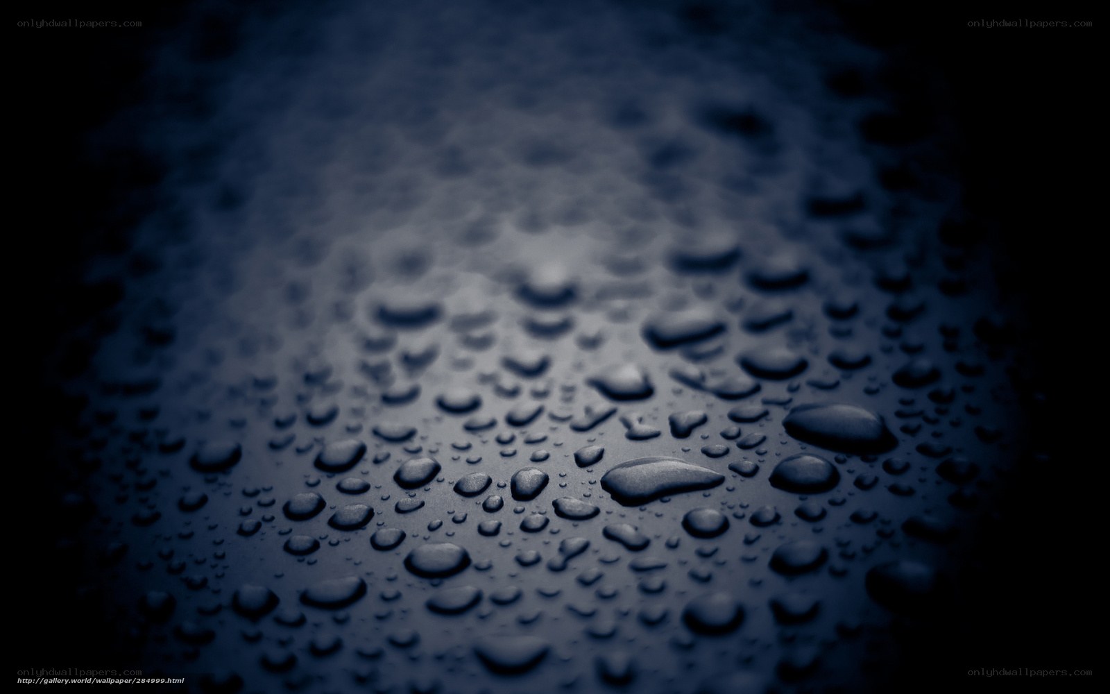 Water droplets on dark surface