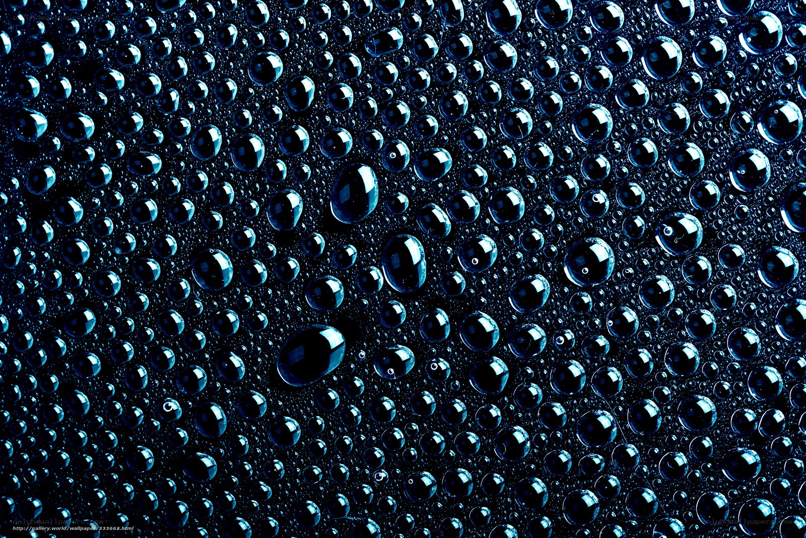 Water droplets on dark surface