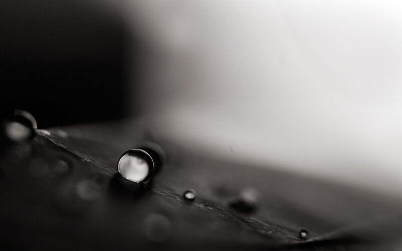 Water Droplets on Dark Surface — Black, Minimalist