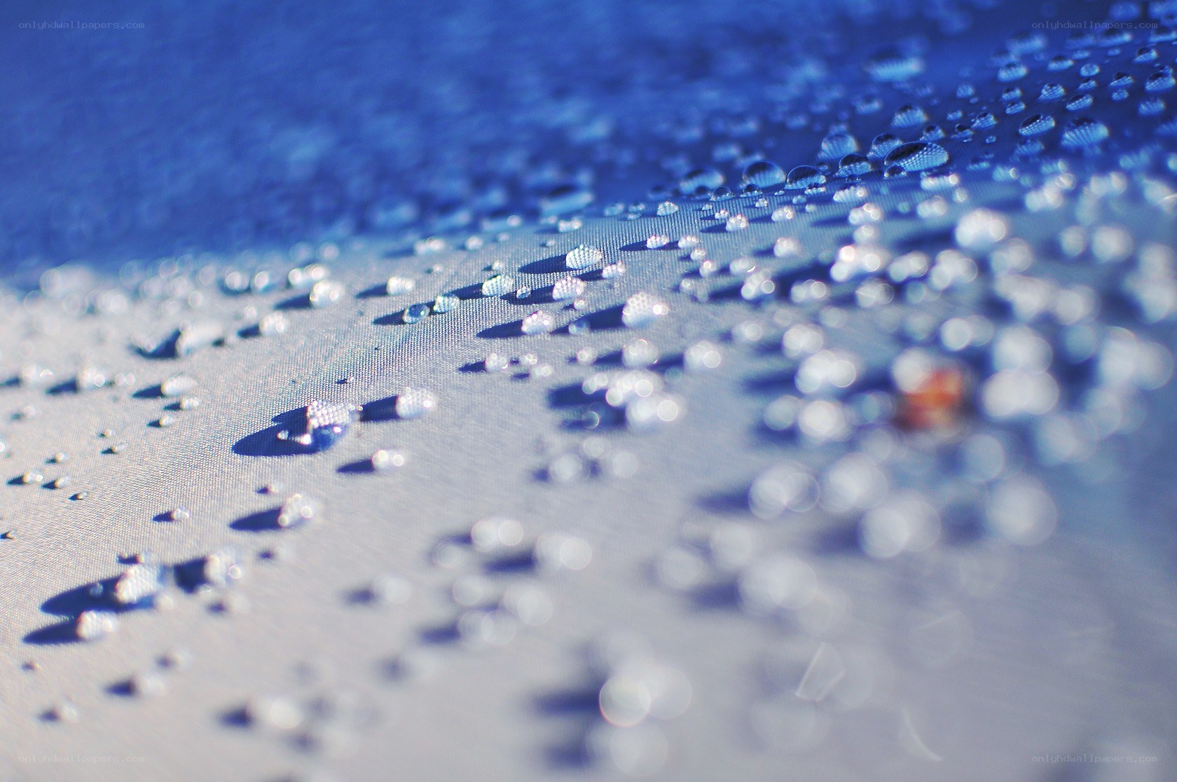 Water droplets on fabric