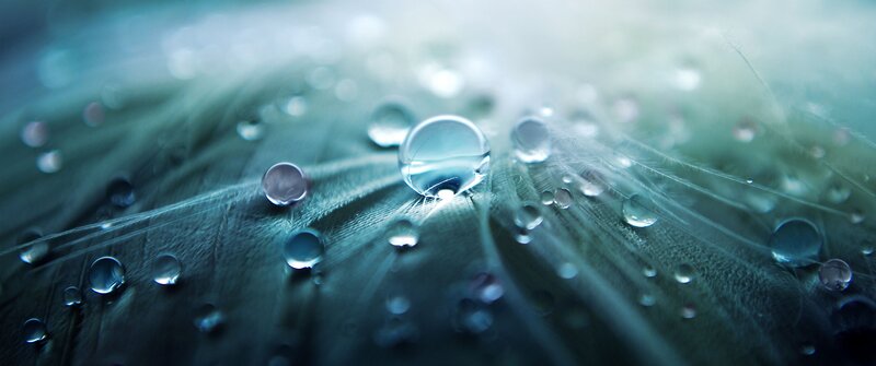 Water Droplets on Feather — Blue