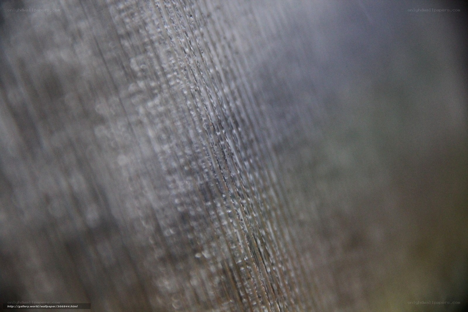Water droplets on glass