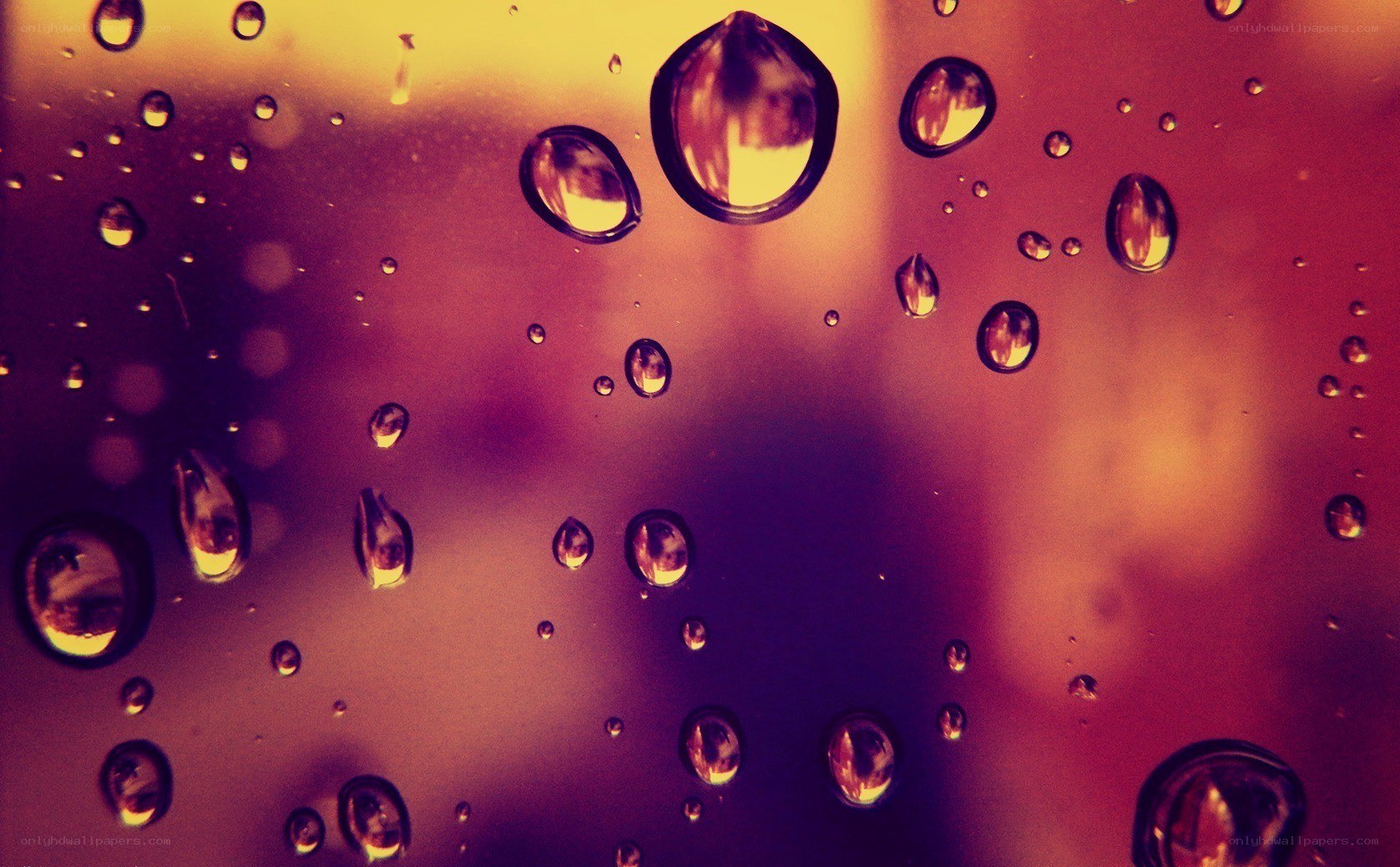 Water droplets on glass