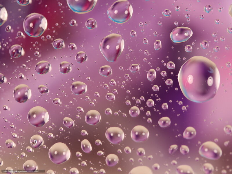 Water Droplets on Glass — Purple, Calm