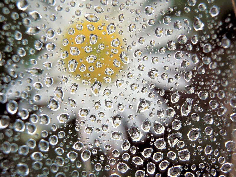 Water droplets on glass with flower