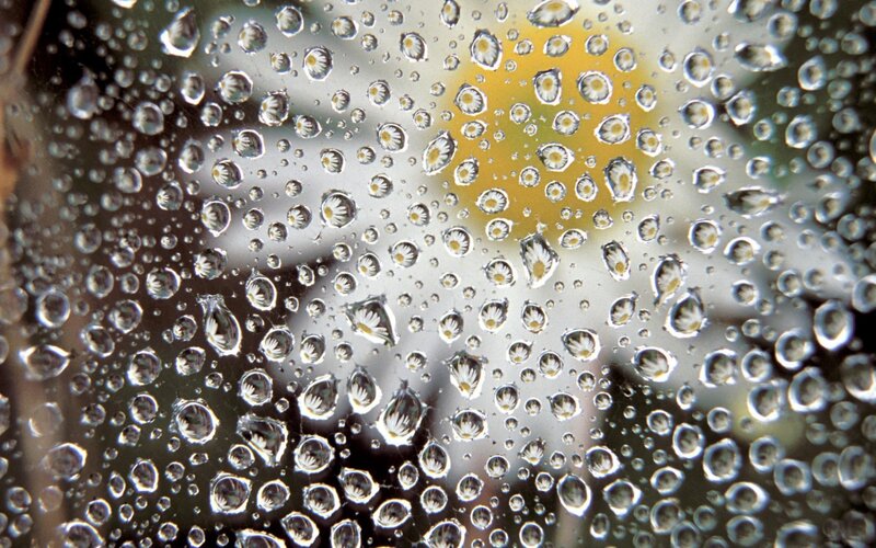 Water droplets on glass with flower