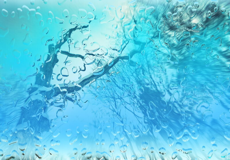 Water droplets on glass with tree