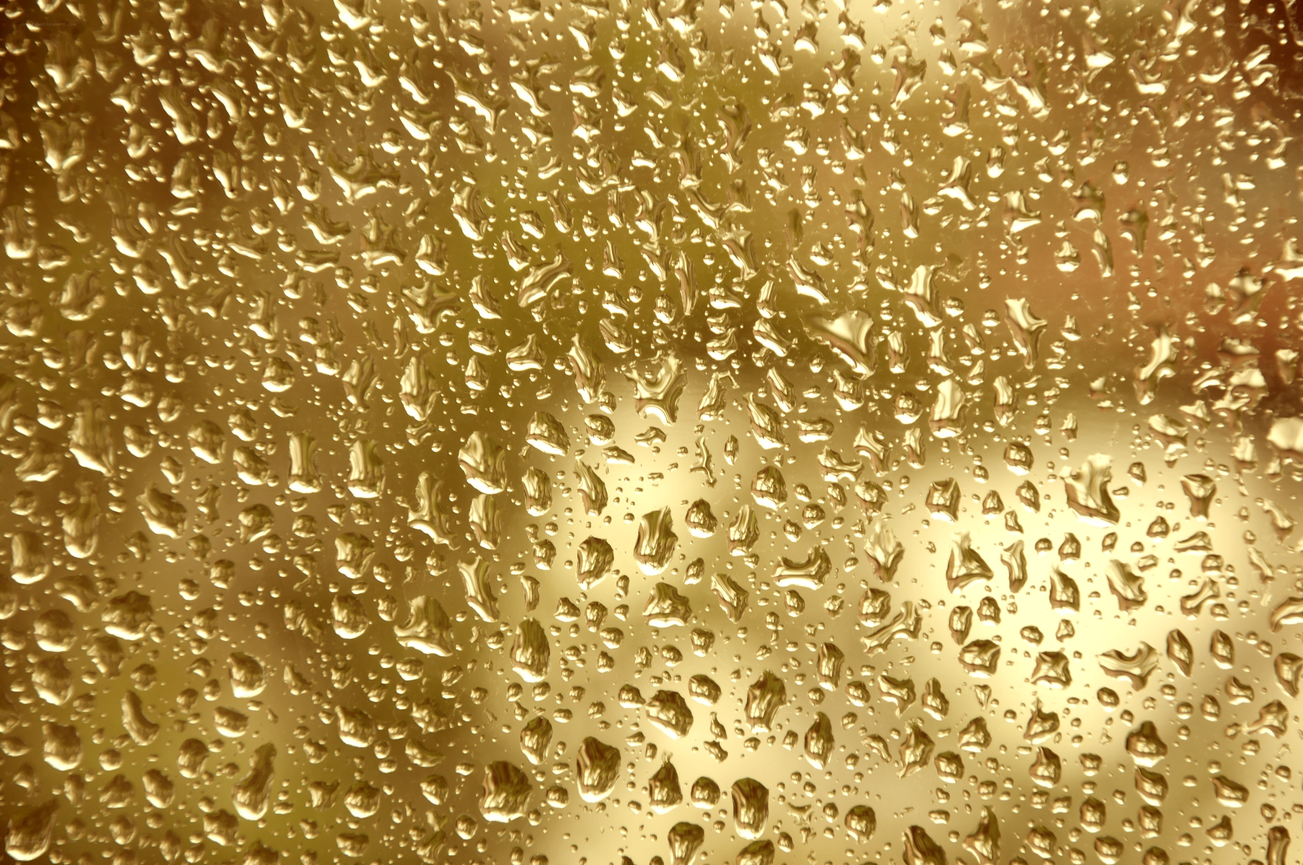 Water droplets on golden surface