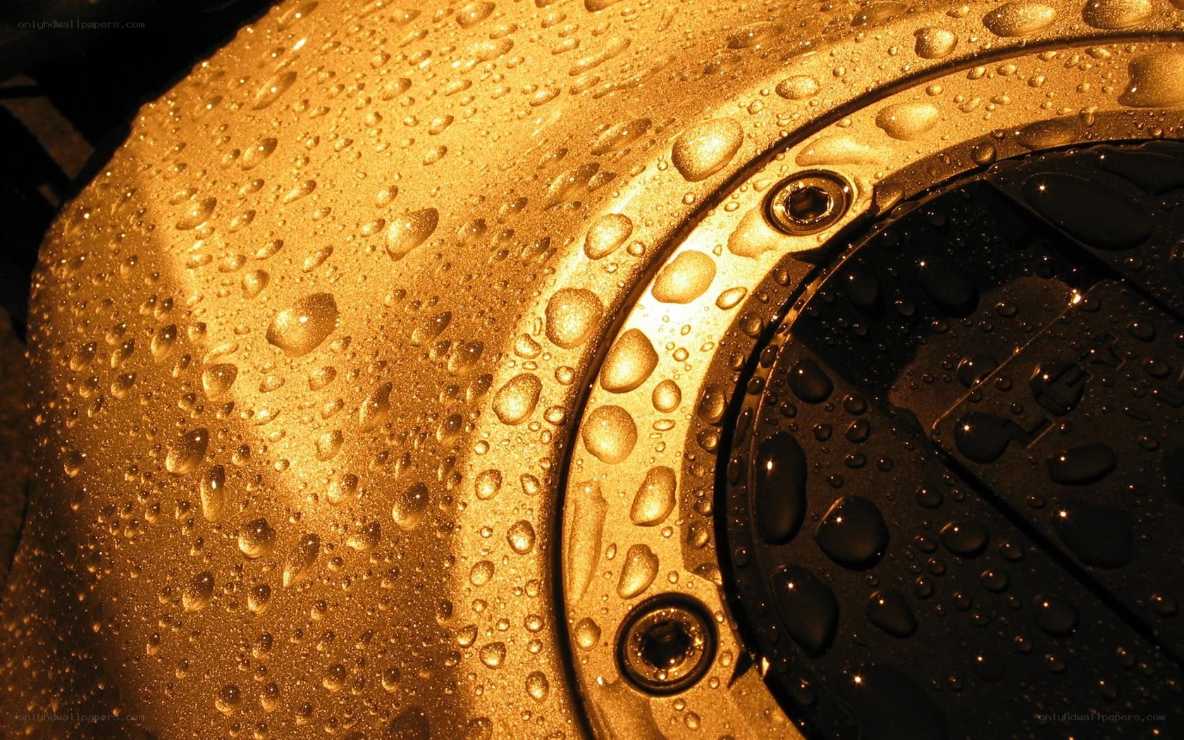 Water droplets on golden surface
