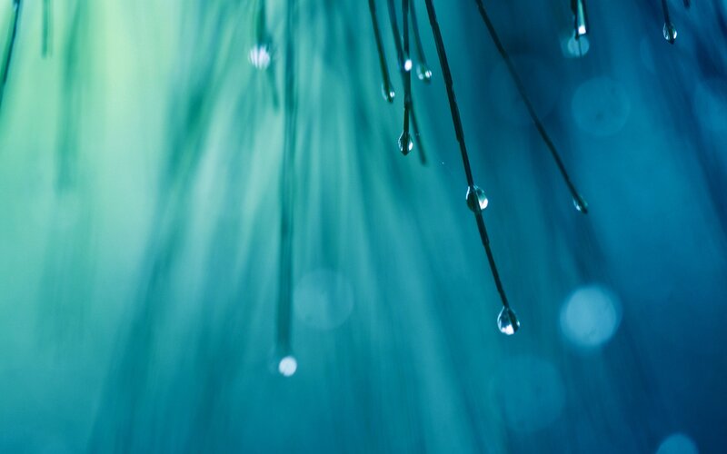 Water Droplets on Grass — Blue