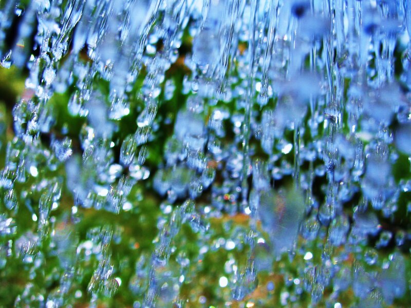 Water droplets on green leaves