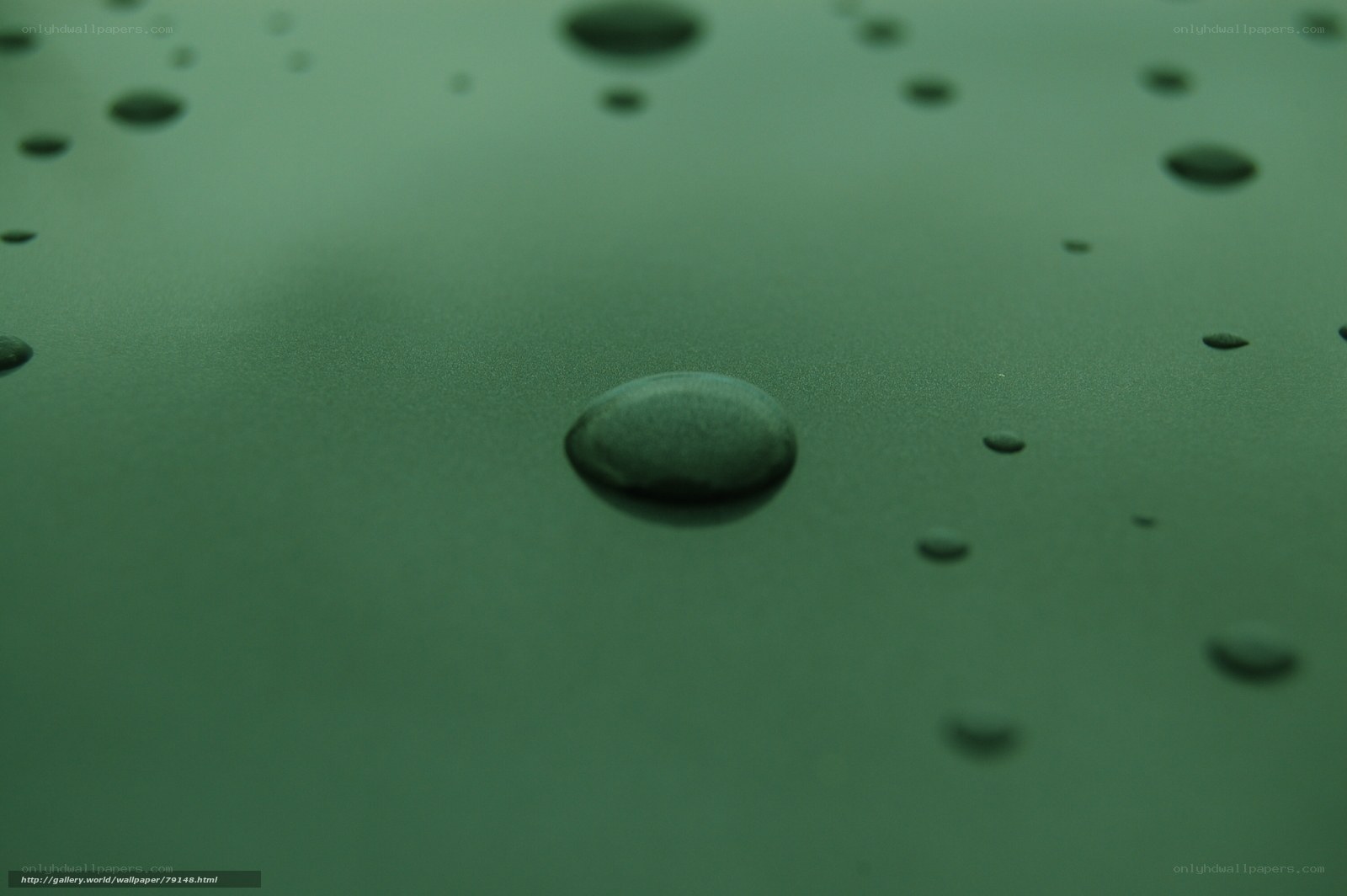Water droplets on green surface