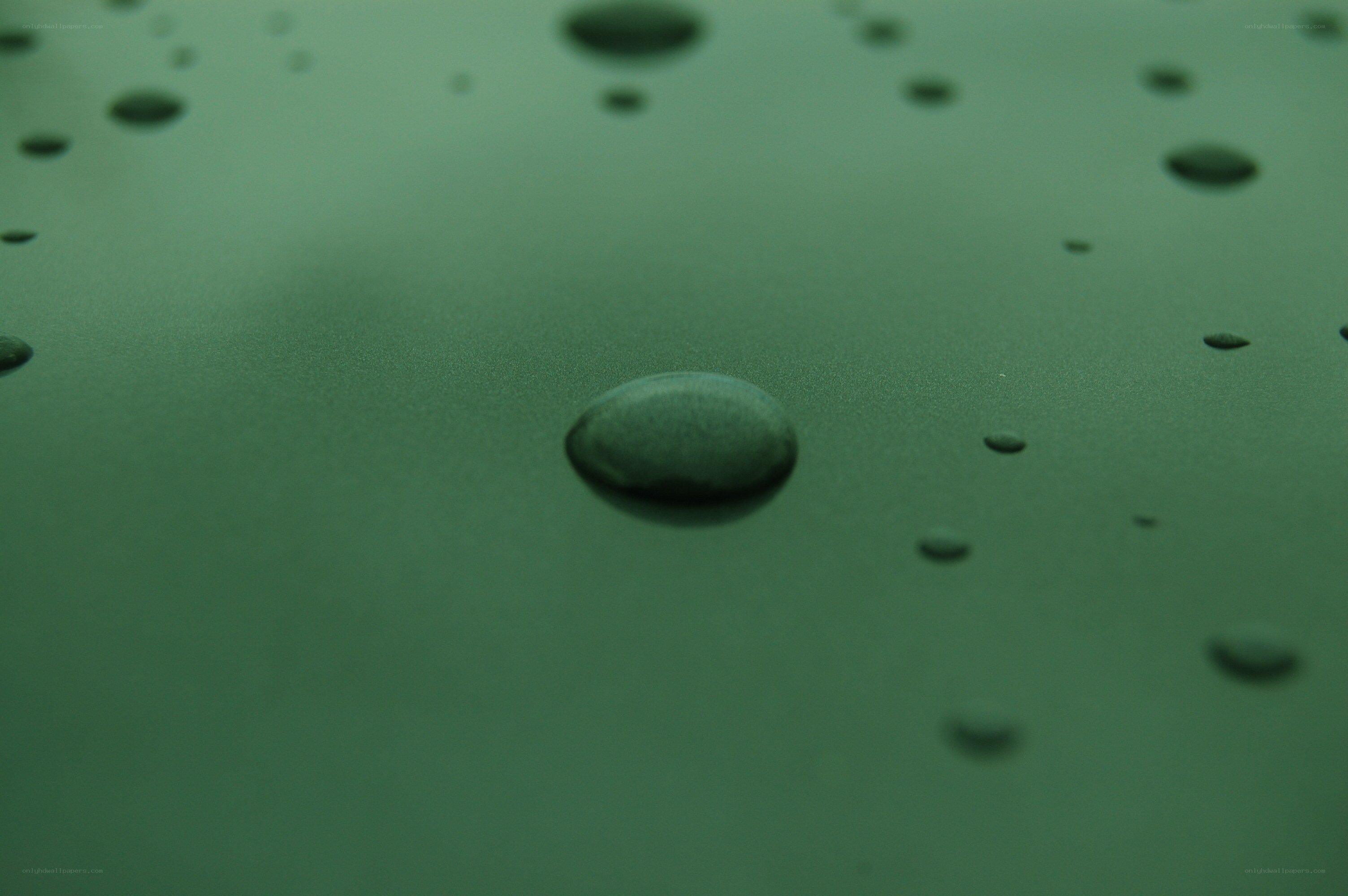 Water droplets on green surface