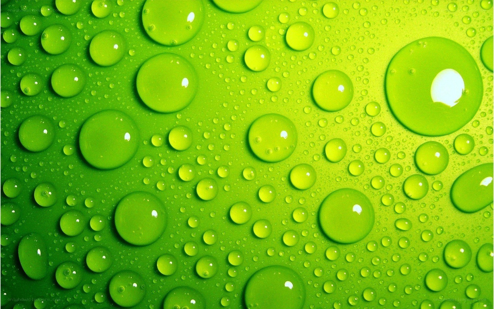 Water droplets on green surface