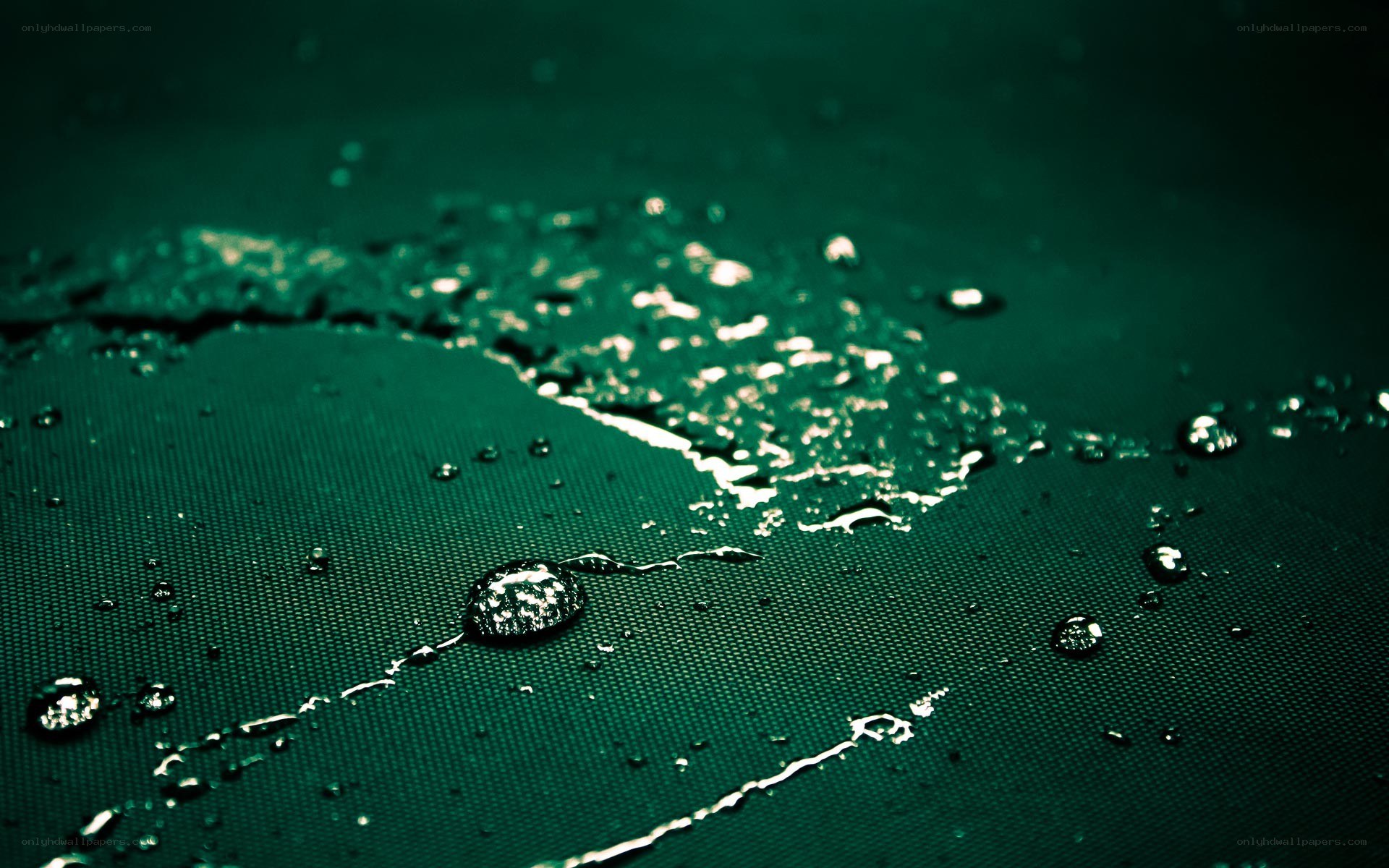 Water droplets on green surface