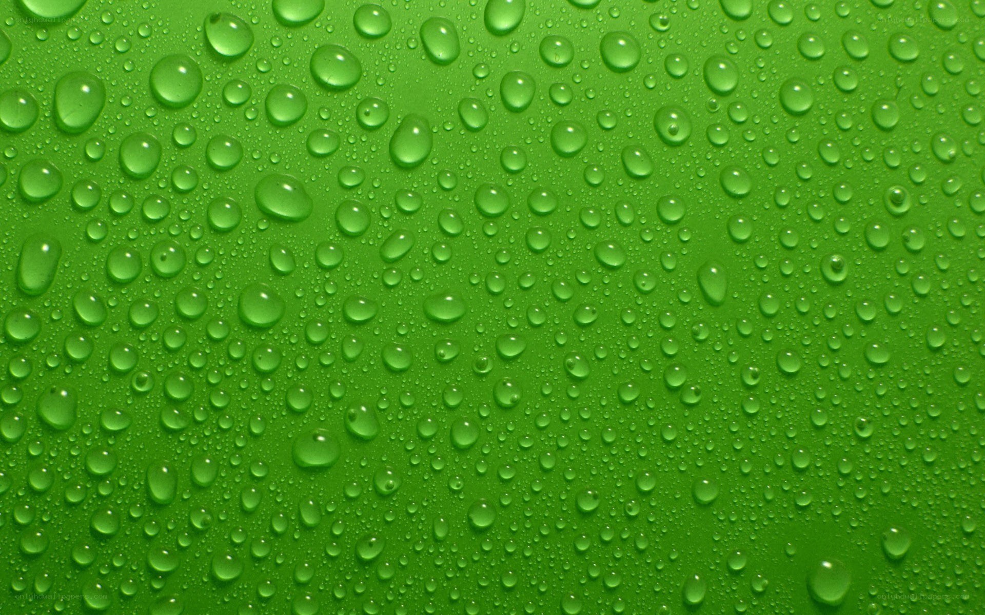 Water droplets on green surface