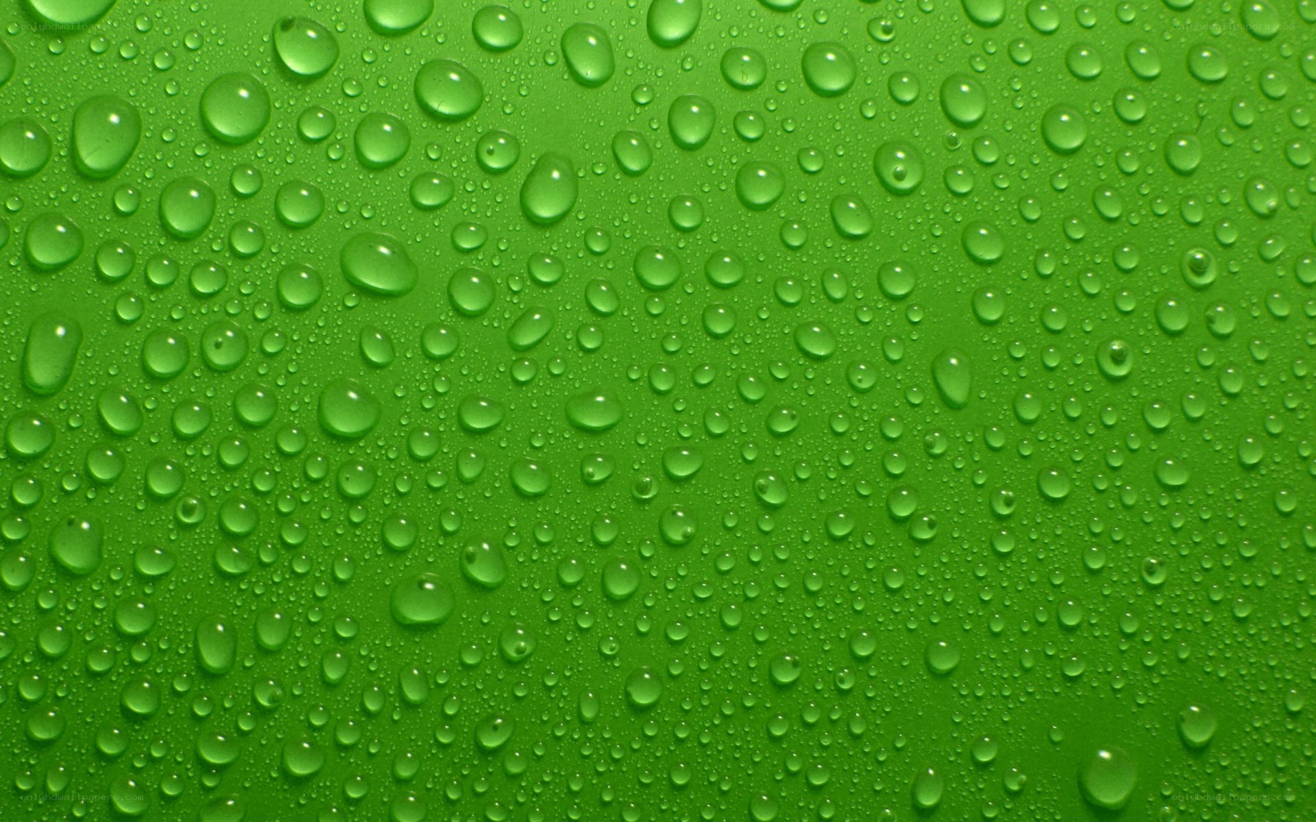 Water droplets on green surface