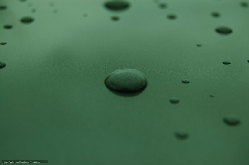 Water Droplets on Green Surface — Calm