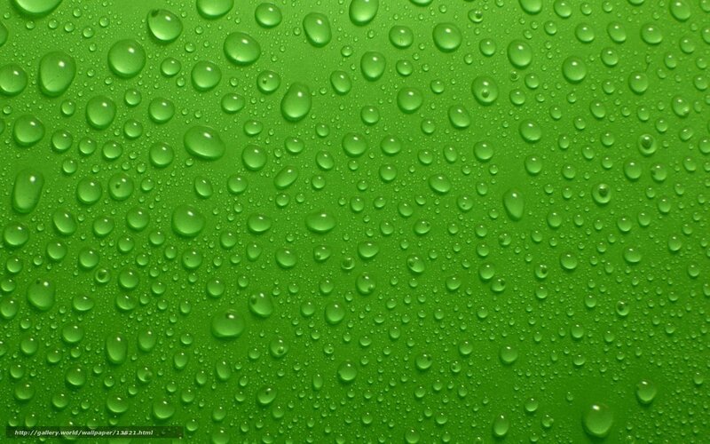 Water droplets on green surface