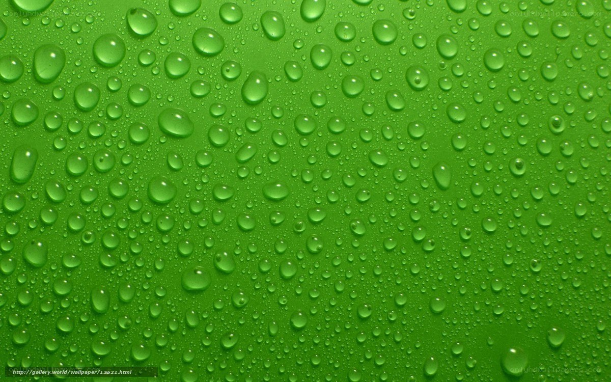 Water droplets on green surface
