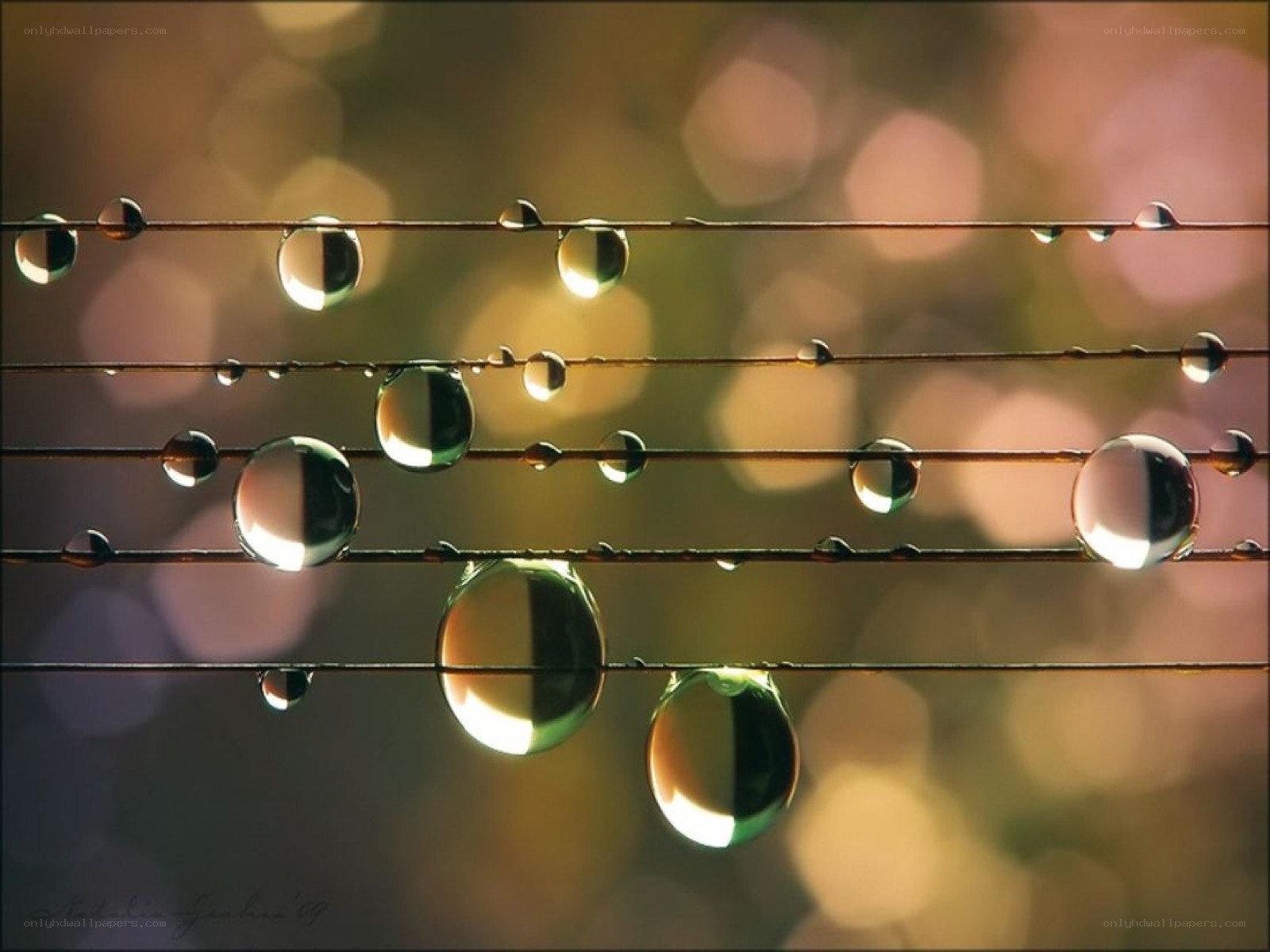 Water droplets on guitar strings