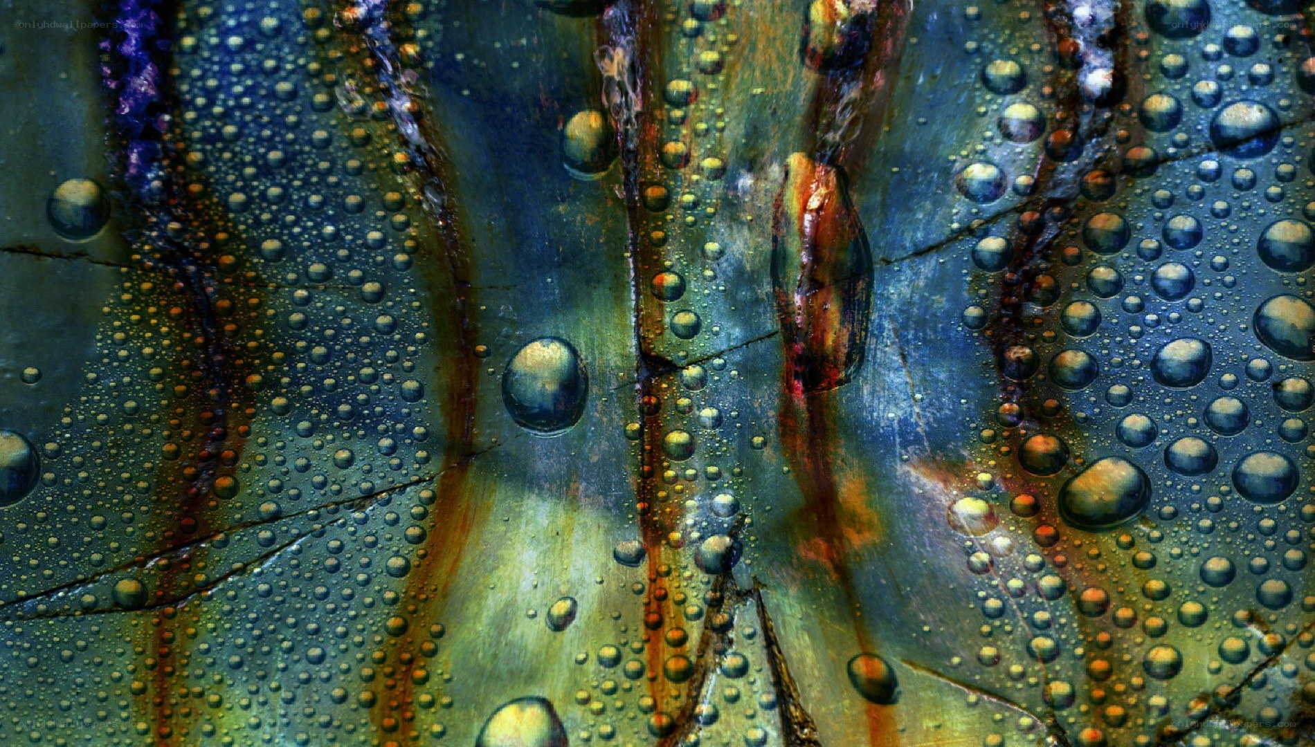 Water droplets on iridescent surface