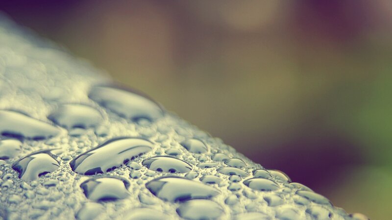 Water Droplets on Leaf — Blue, Calm, Photograph