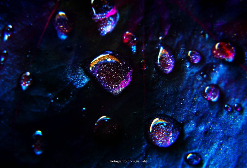 Water Droplets on Leaf — Blue, Dramatic