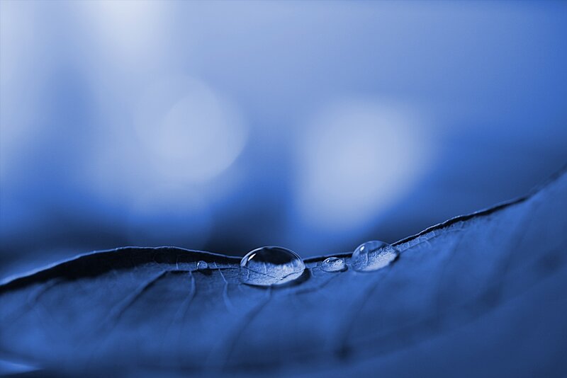 Water Droplets on Leaf — Blue, Serene, Photograph