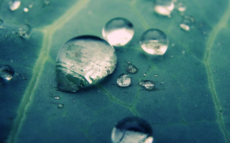 Water Droplets on Leaf — Green, Calm, Photograph, Droplet, Vein, Blue