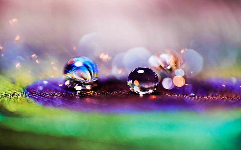 Water Droplets on Leaf — Green, Serene, Photograph, Droplet, Bokeh