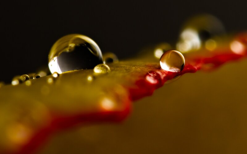 Water Droplets on Leaf — Yellow, Dramatic, Photograph, Droplet, Red Line