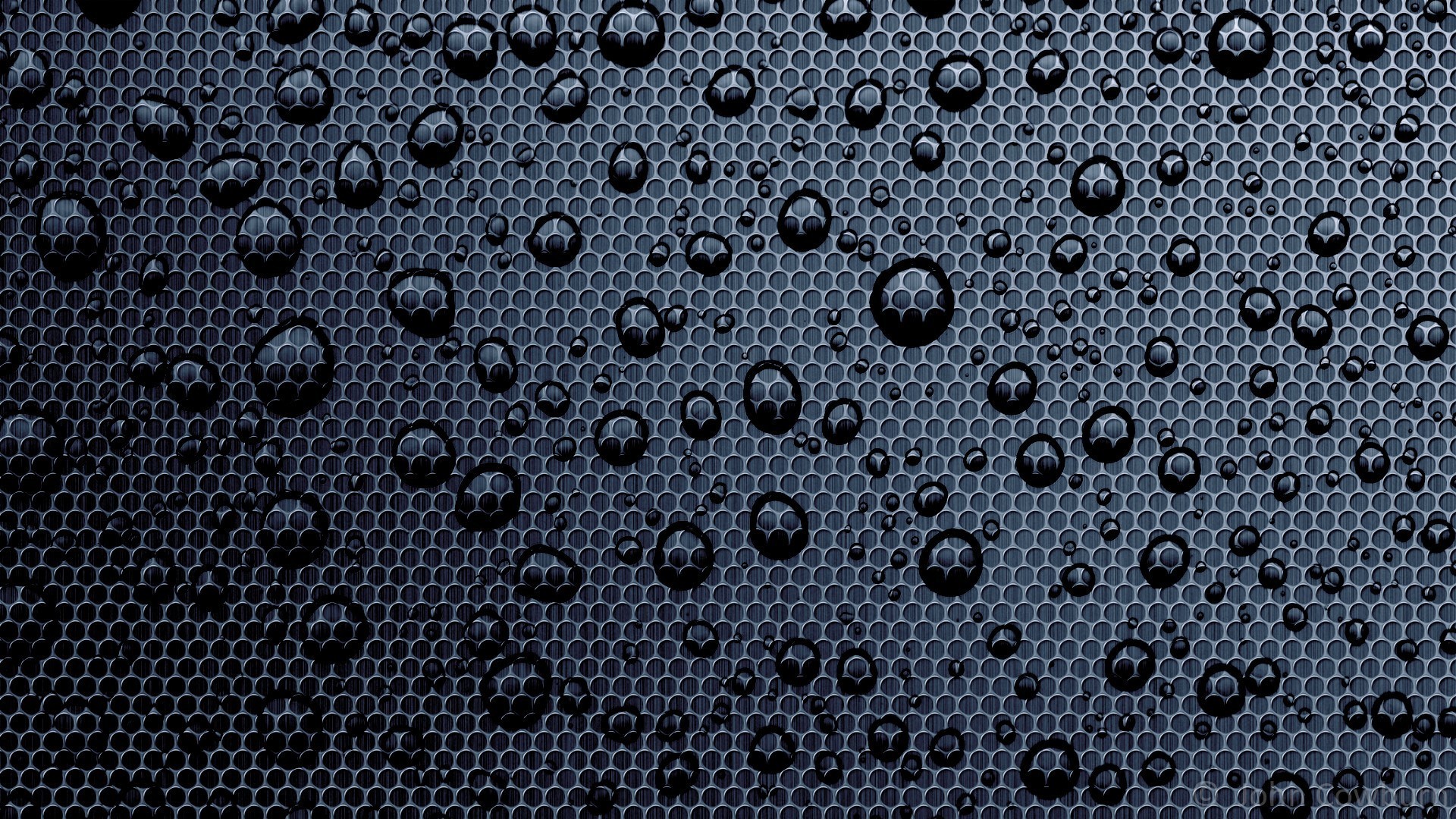 Water droplets on mesh surface