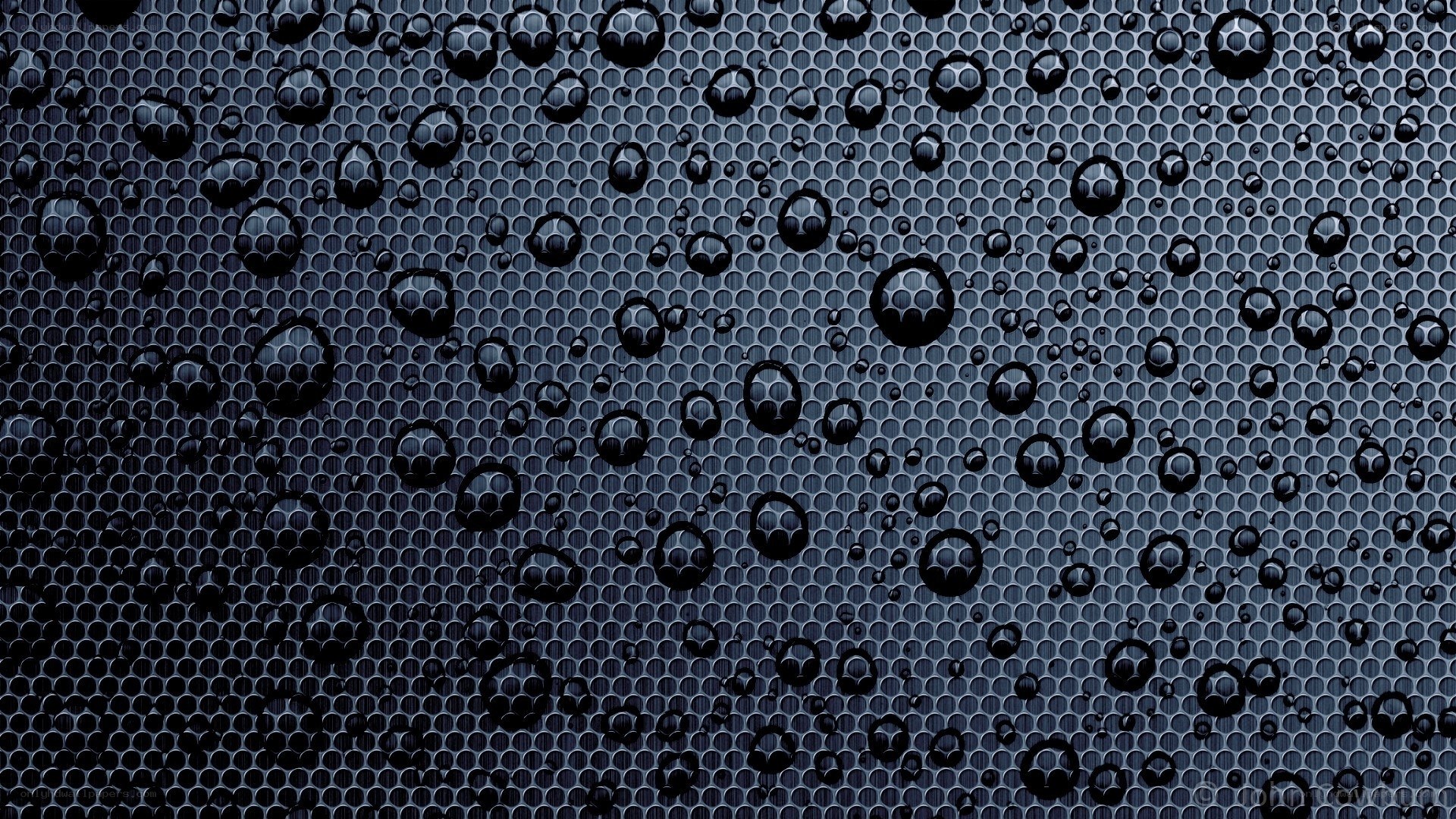 water droplets on mesh