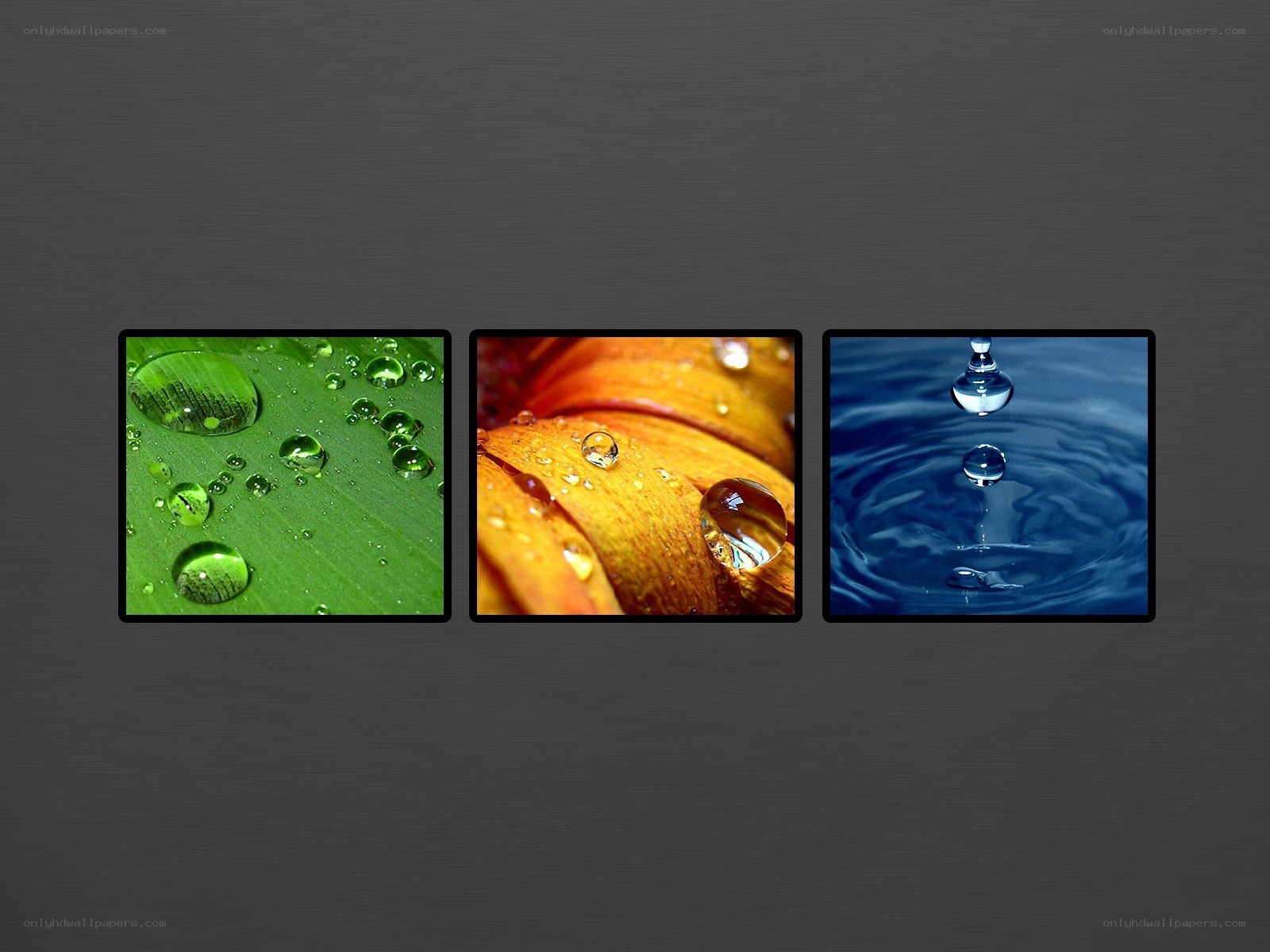 Water droplets on nature