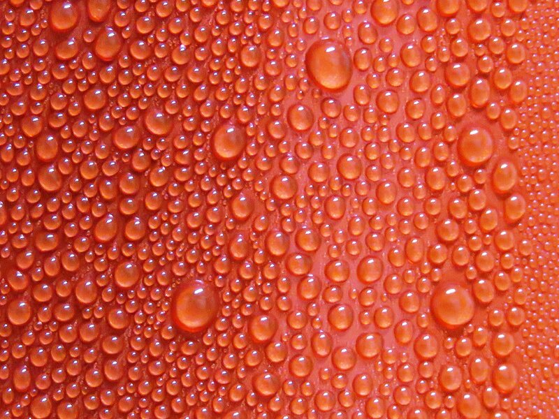 Water Droplets on Orange Surface