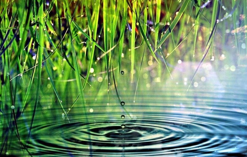 Water Droplets on Pond
