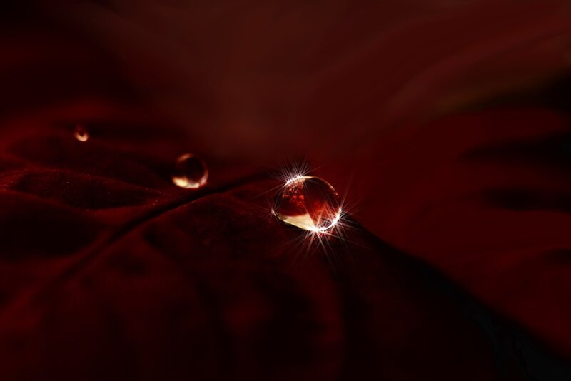 Water Droplets on Red Fabric
